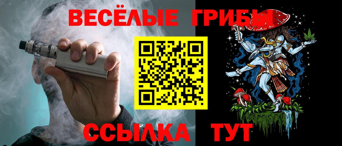 Гуково  Псилоцибиновые грибы прущие грибы  Вход с VPN 